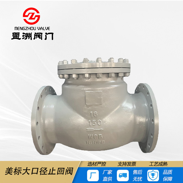 American Standard Large Bore Cast Steel Check Valve