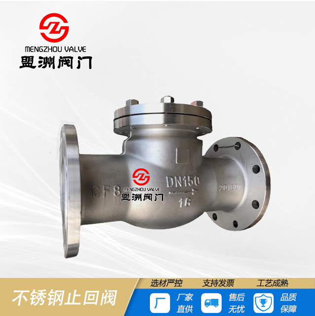 Stainless steel check valve